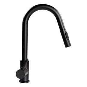 Lippert Flow Max™ Bullet Pull-Down Kitchen Faucet