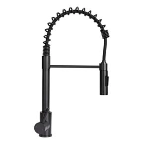 Lippert Flow Max™ Coiled Kitchen Faucet