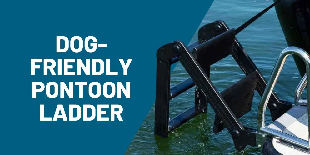 How to Choose a Dog-Friendly Ladder for Your Pontoon Boat