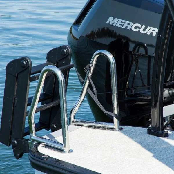 Pontoon Boat Ladder