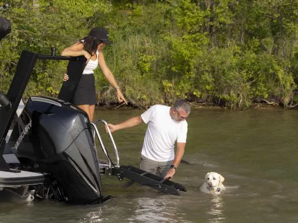 SureStep Pontoon Boat Ladder