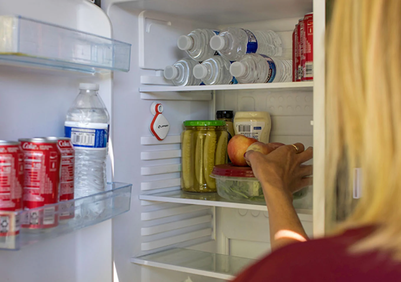 RV Sensors and Monitoring