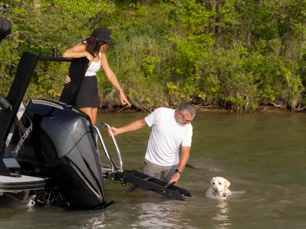 SureStep Retractable Boat Ladder