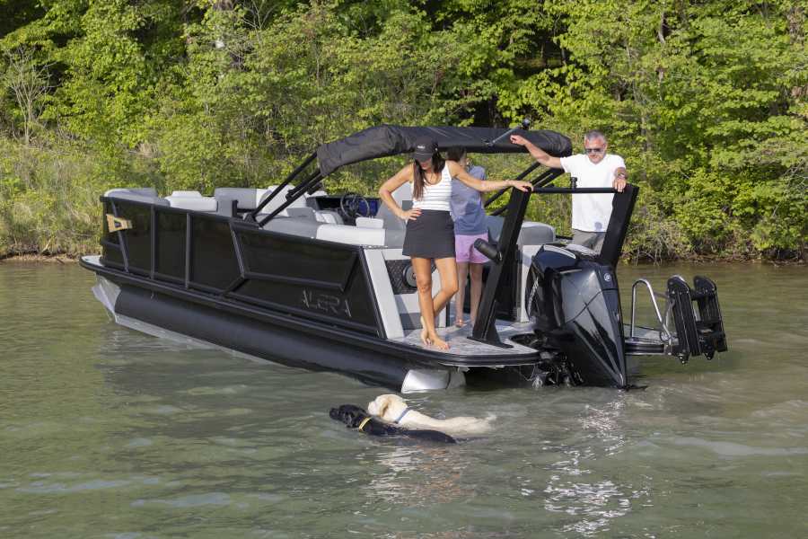 Man and woman on a boat looking at their dogs in the water