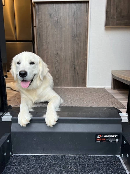 Puppy Dog RV Steps Solid Step Lippert