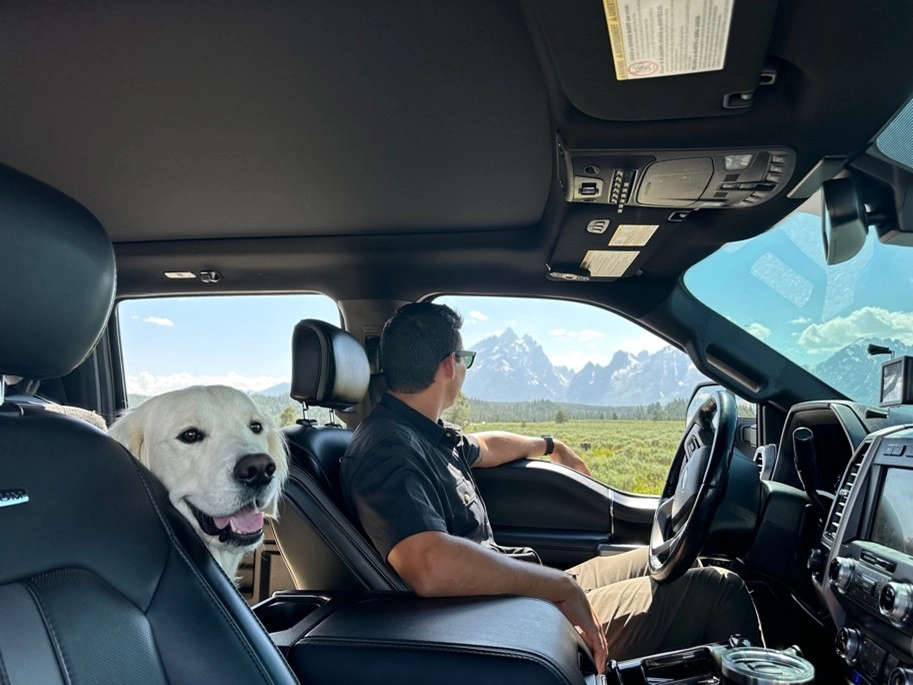 RV Cab Driving Dash Dog Ride